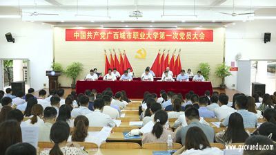 中国共产党乐玩手机网页版登录入口,乐玩(中国)第一次党员大会胜利召开