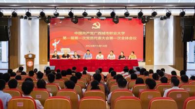 中国共产党乐玩手机网页版登录入口,乐玩(中国)委员会第一届第一次党员代表大会胜利召开